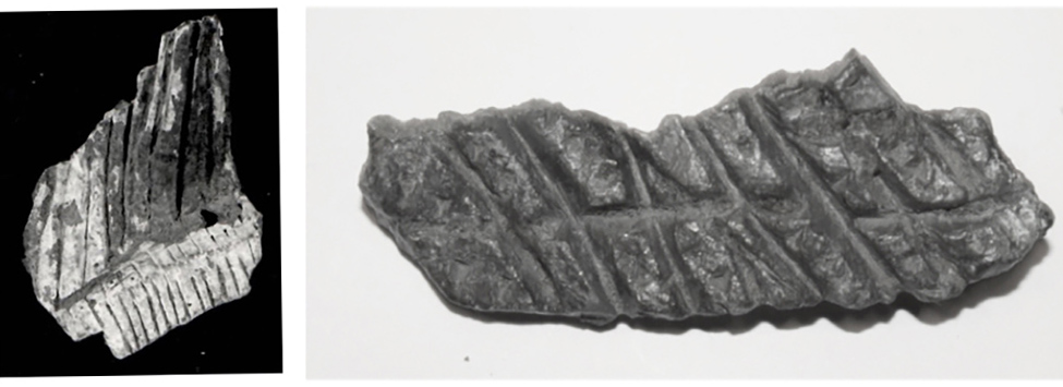 ჯავშნის ფრაგმენტი