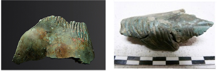 ცხენის ქანდაკების ფრაგმენტი