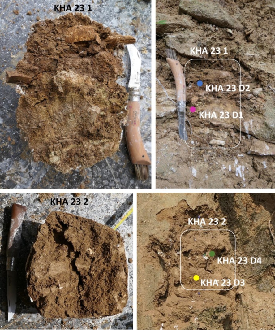  Schematic view of the site as seen in section. The shading shows area of the cave sediments in the cliff face