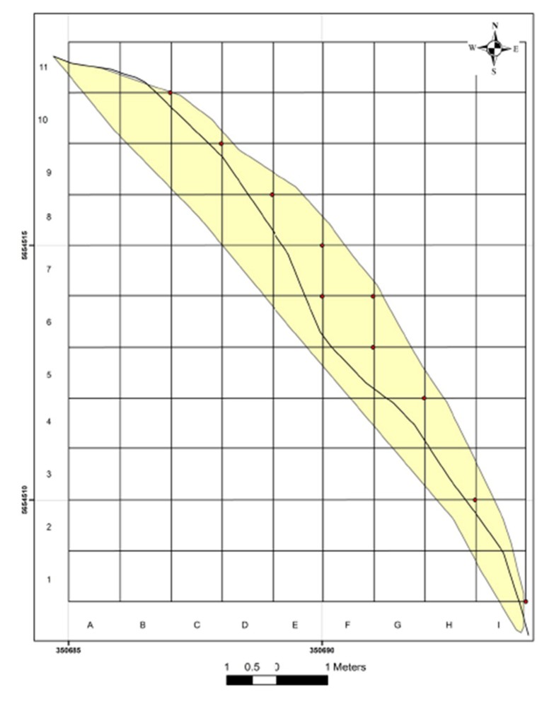 Schematic view of the site