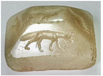 ირანული კოლექცია