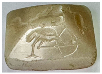 ირანული კოლექცია