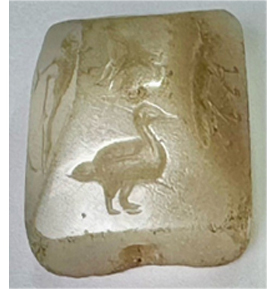 ირანული კოლექცია