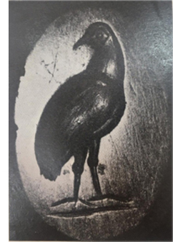 ქალცედონის სკარაბეოიდი