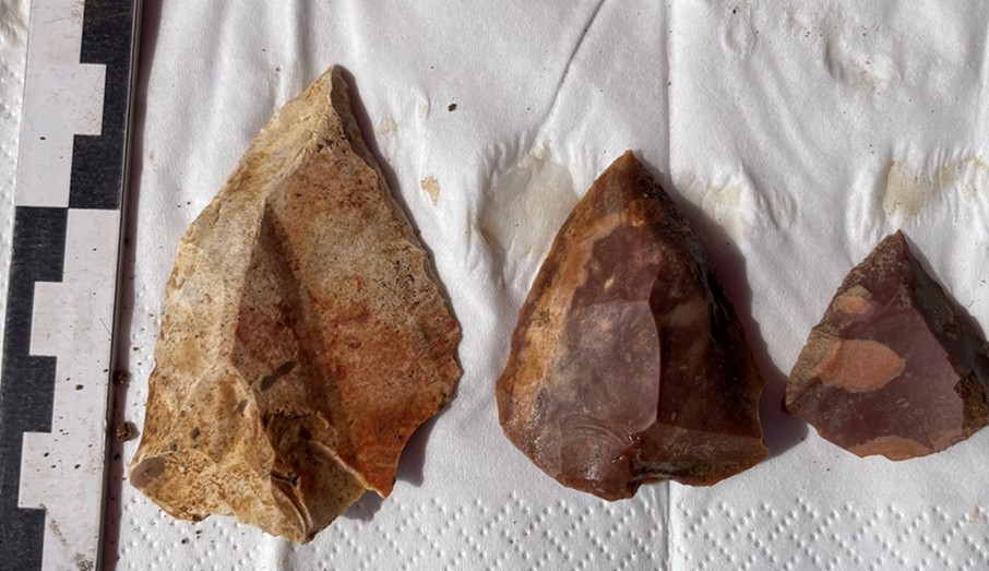  Schematic view of the site as seen in section. The shading shows area of the cave sediments in the cliff face