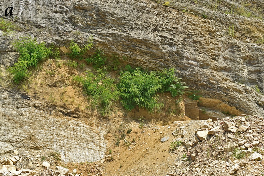 Figure 3. The site as exposed in the cliff face
