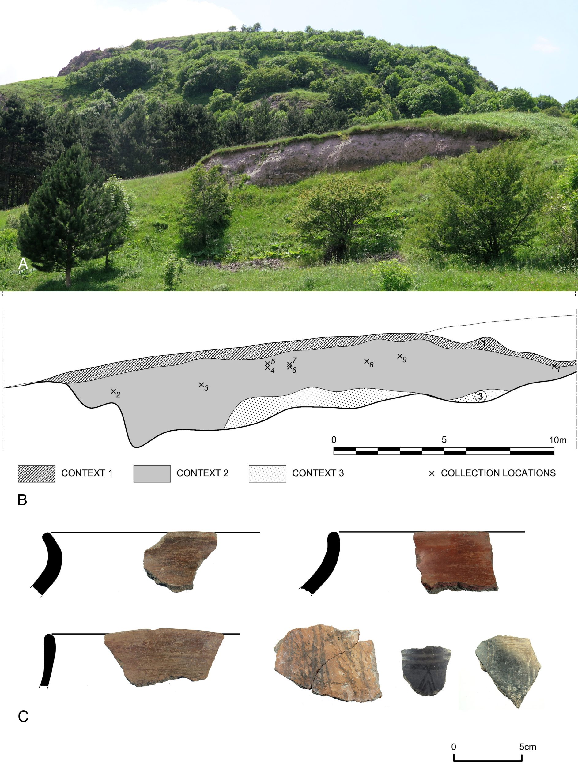 ვარნეთი