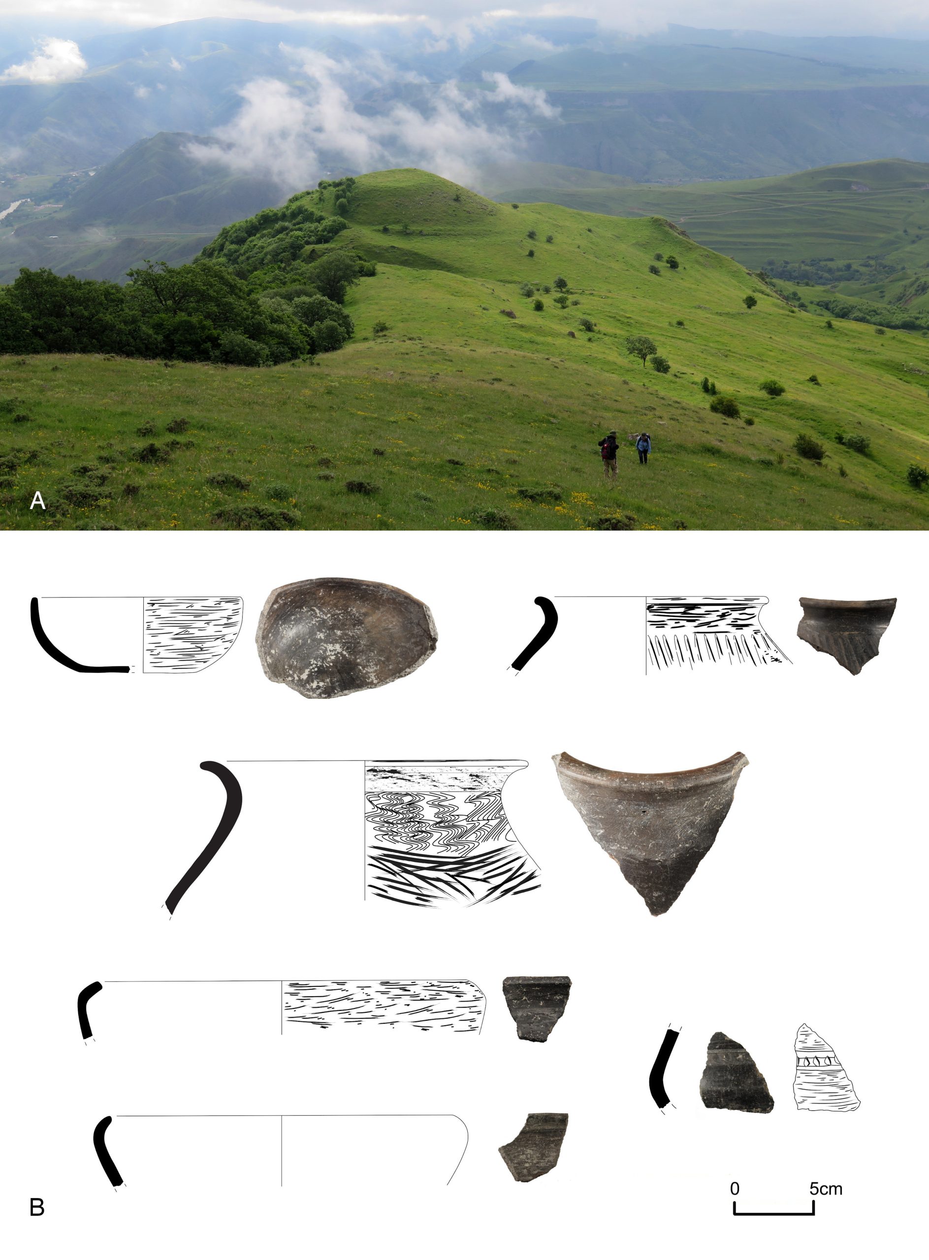 ვარნეთი