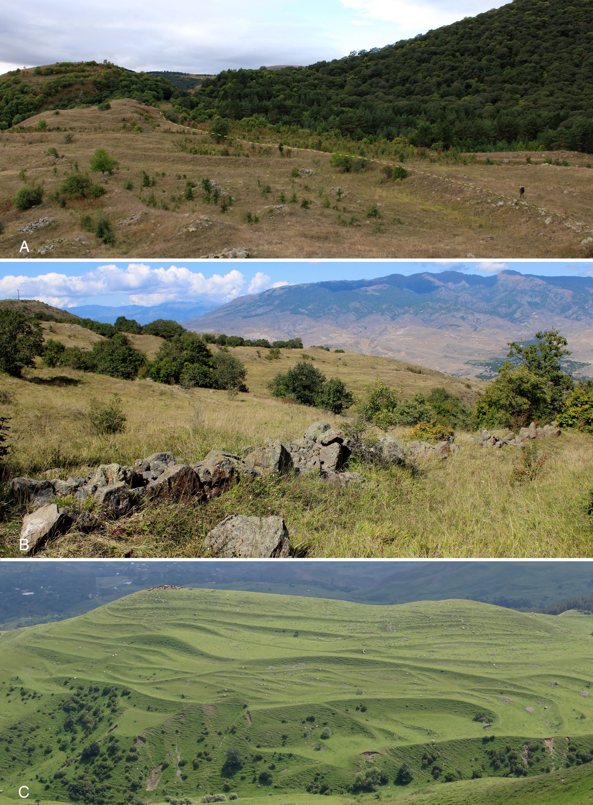 ვარნეთი